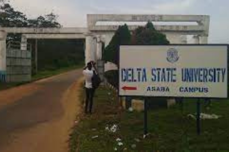 DELTA STATE UNIVERSITY