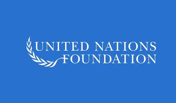 Remote Internship at UN Foundation 2024