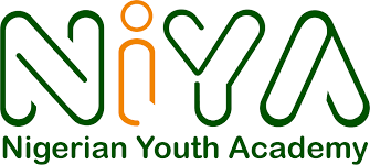 Nigerian Youth Academy Program