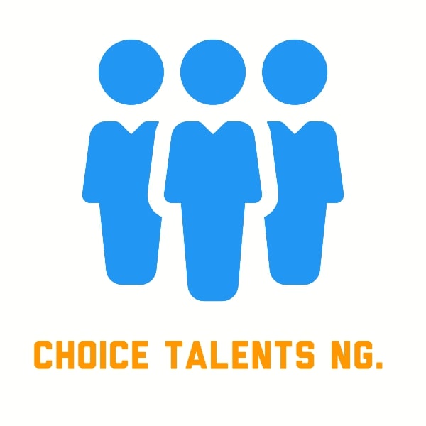 Data Entry Clerk at Choice Talents NG