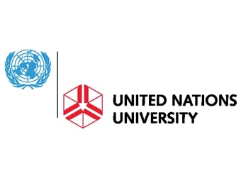 United Nations Junior Fellow Internship 2024
