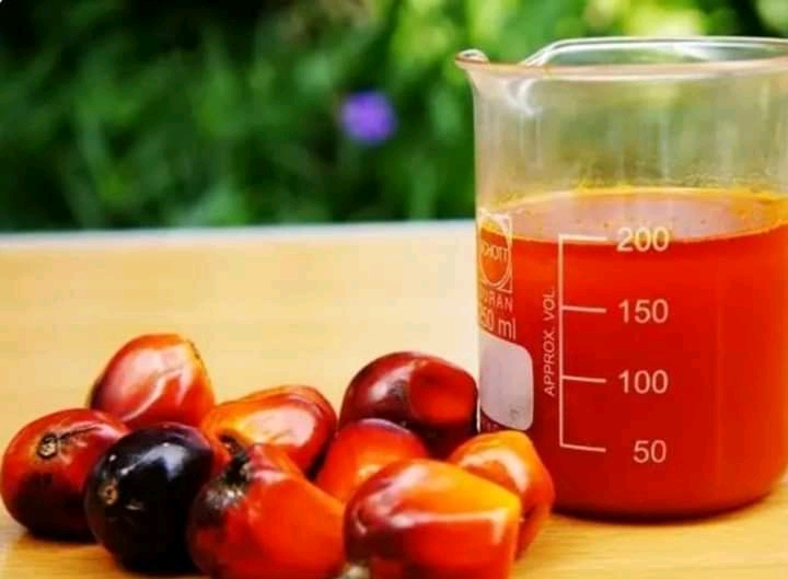 $600m palm oil import: NANS wants FG to revive moribund plantations