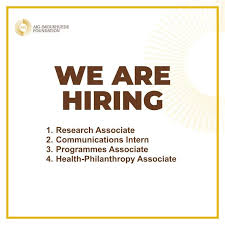 AIG Foundation Internship