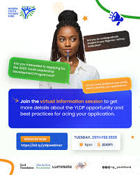Nigerian Youth Futures Fund
