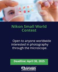 Global Call: Nikon Small World Photomicrography Competition 2025