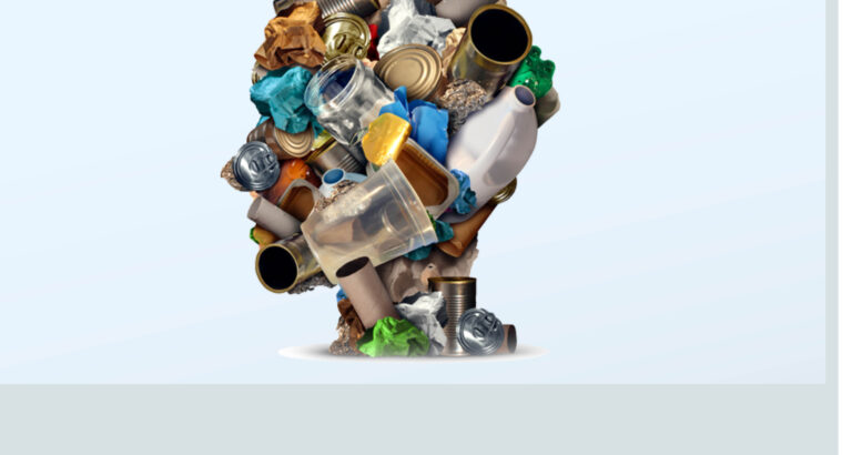 Lagos Business School Presents: 2025 Leadership Program for Sustainable Waste Management (LP-SWM)