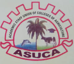 ASUCA