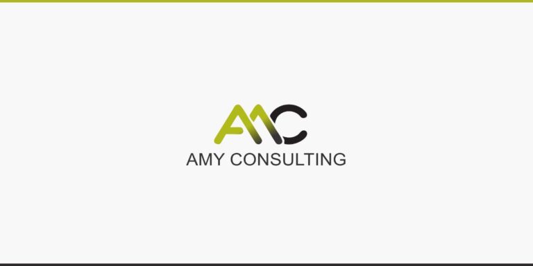 Amy Consulting