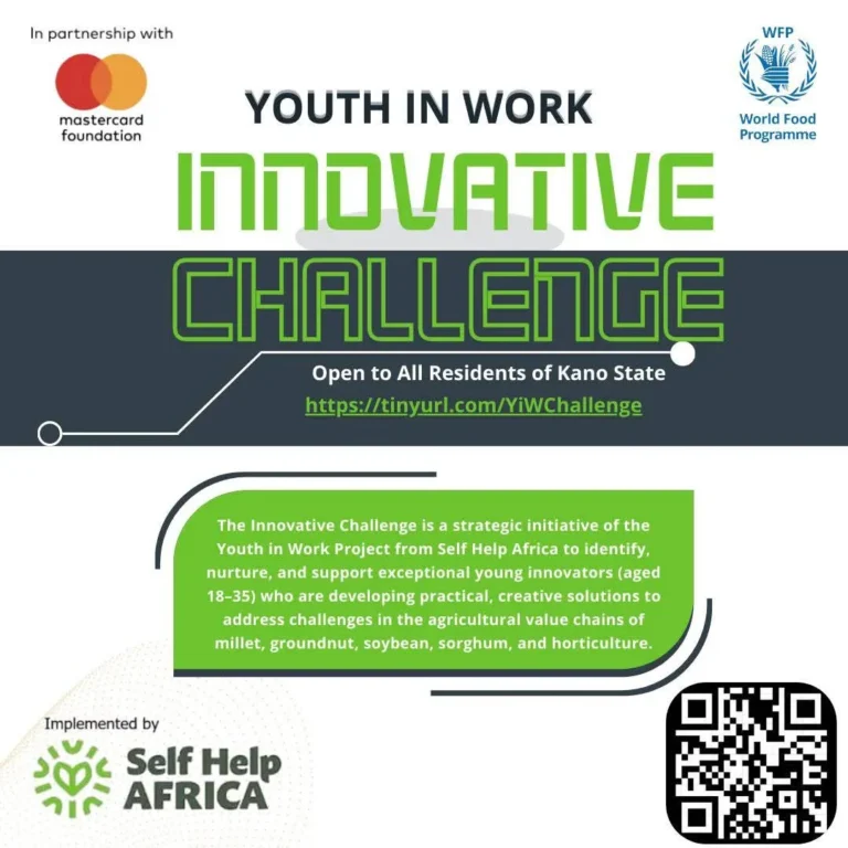 Youth in Work