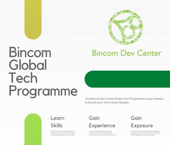 Bincom Dev