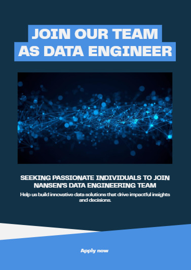 Data Engineer